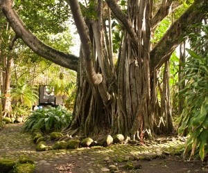 The Second House Botanical Expedition Source   www flickr com photos colombia By Colombia Travel